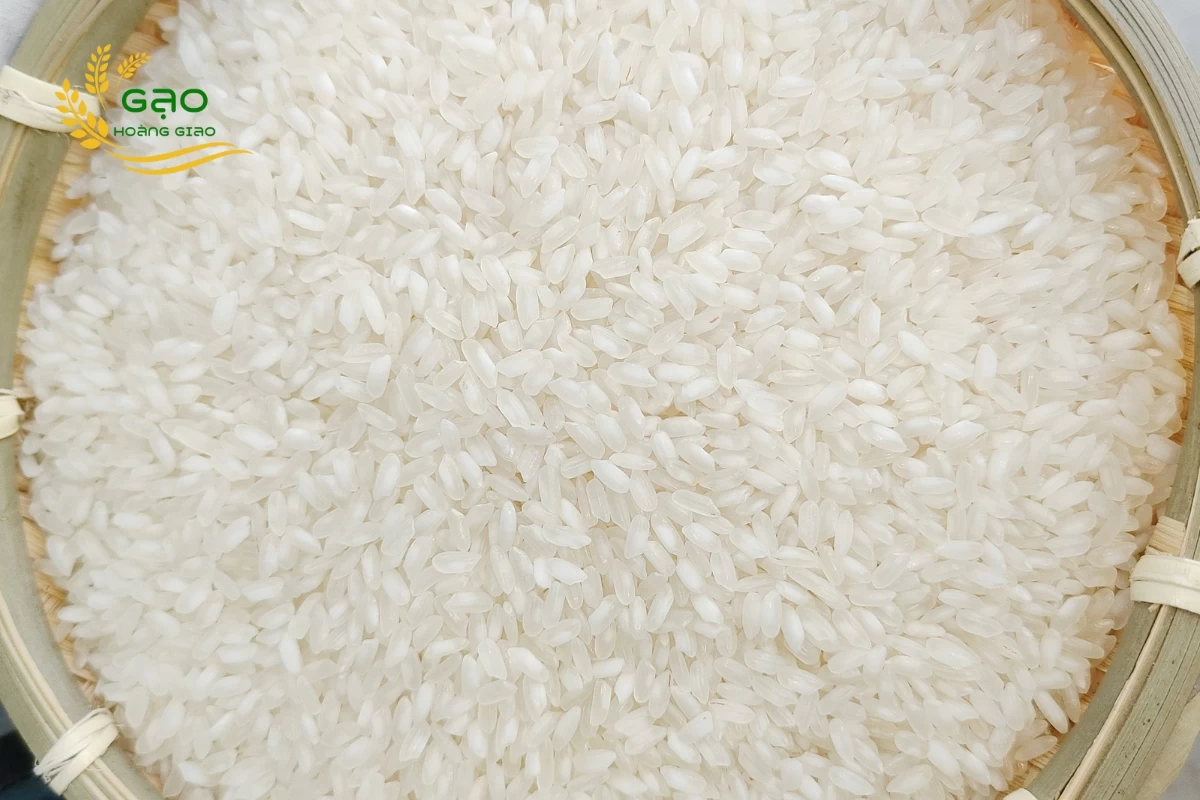 Mẫu gạo làm bún Hàm Châu