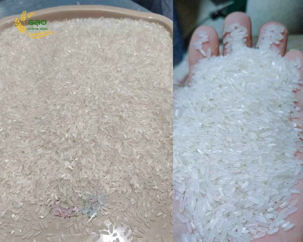 Mẫu gạo ngon giá rẻ DT8 (hay Đài Thơm 8) của nhà máy Gạo Hoàng Giao