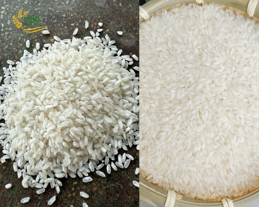 Mẫu gạo Hàm Châu tại nhà máy Gạo Hoàng Giao
