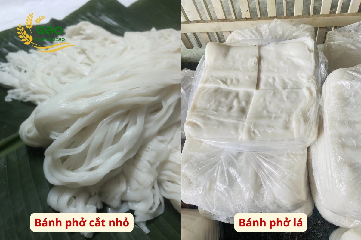 Miếng bánh phở lá và bánh phở cắt nhỏ