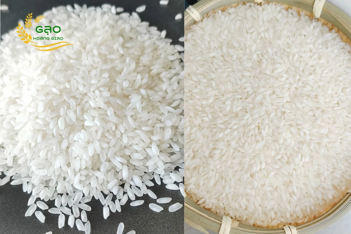 Mẫu gạo Hàm Châu
