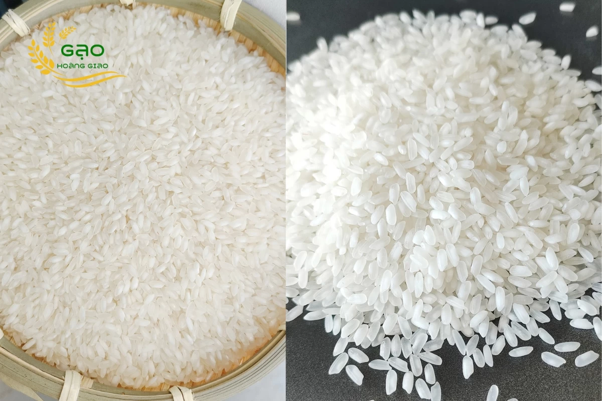 Gạo Hàm Châu là loại gạo làm bánh tráng được ưu tiên sử dụng hàng đầu