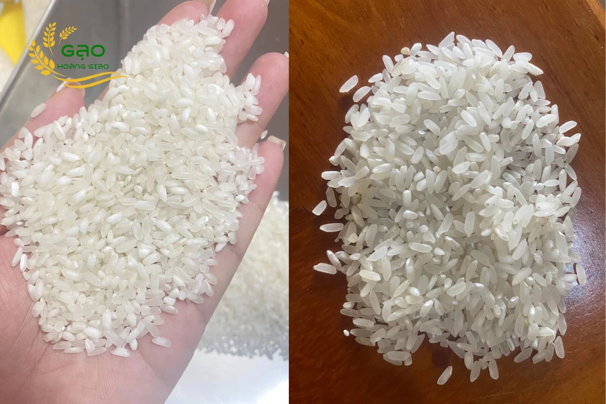 Gạo Khang Dân có hạt dài, thon nhỏ, màu trắng trong