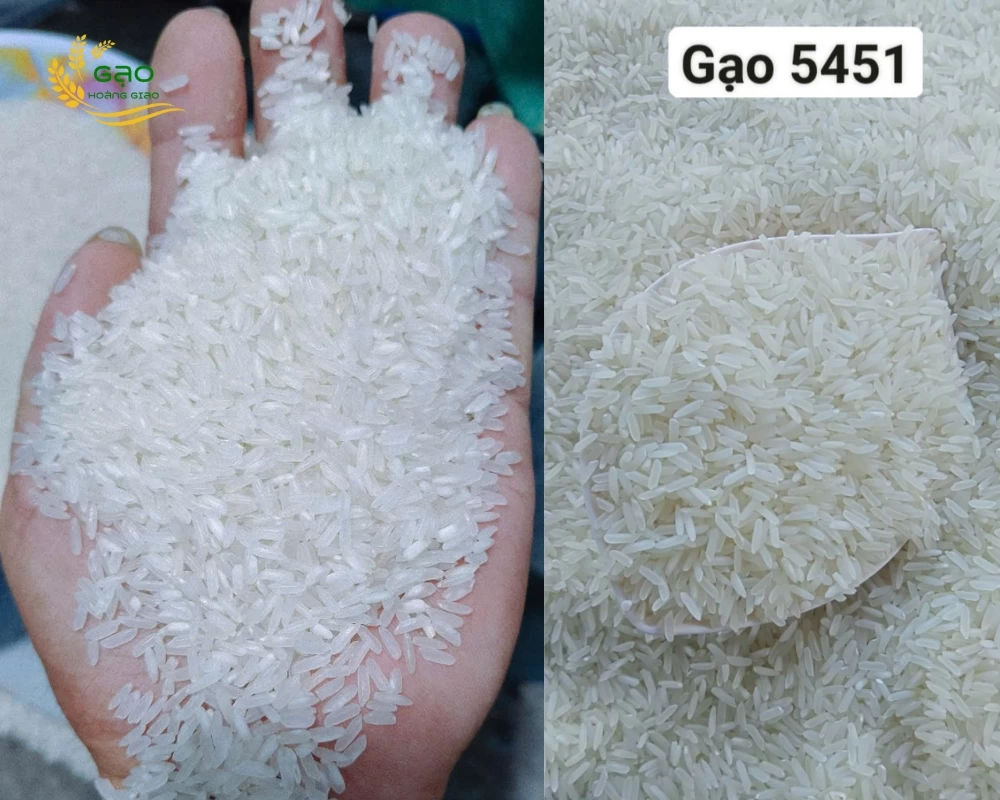 Mẫu gạo ngon giá rẻ 5451 của nhà máy Gạo Hoàng Giao