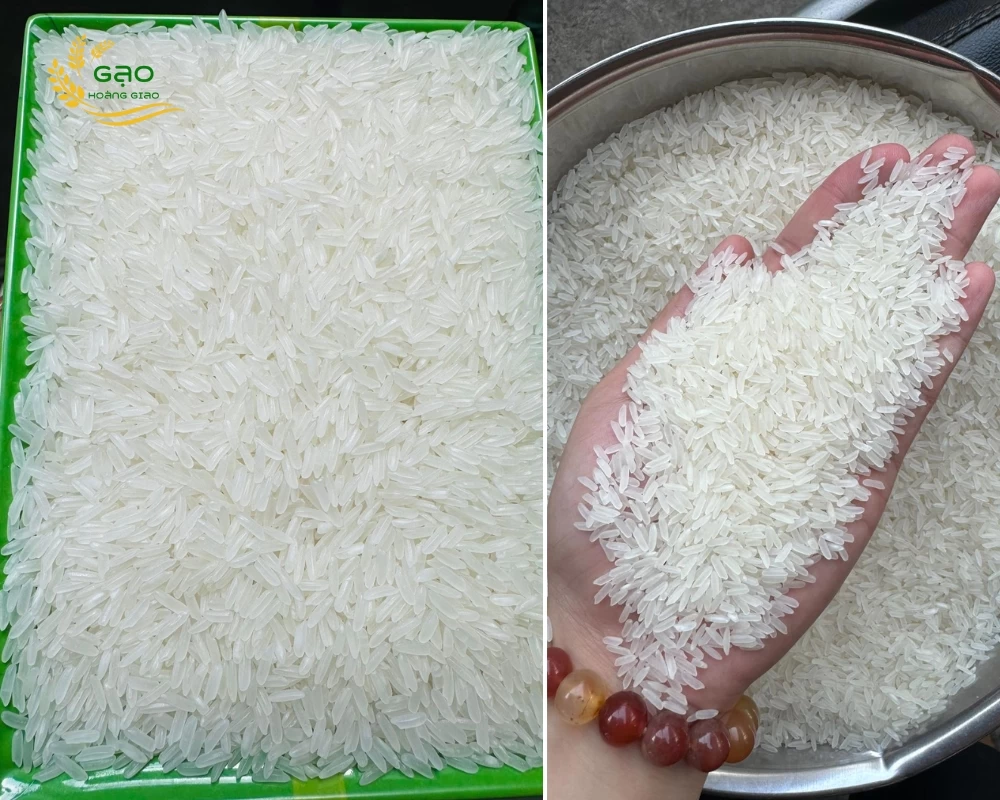 Mẫu gạo OM18 có hạt thon dài, màu trắng đẹp, ít bạc bụng của nhà máy Gạo Hoàng Giao