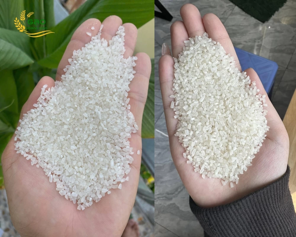 Mẫu gạo tấm thơm của nhà máy Gạo Hoàng Giao