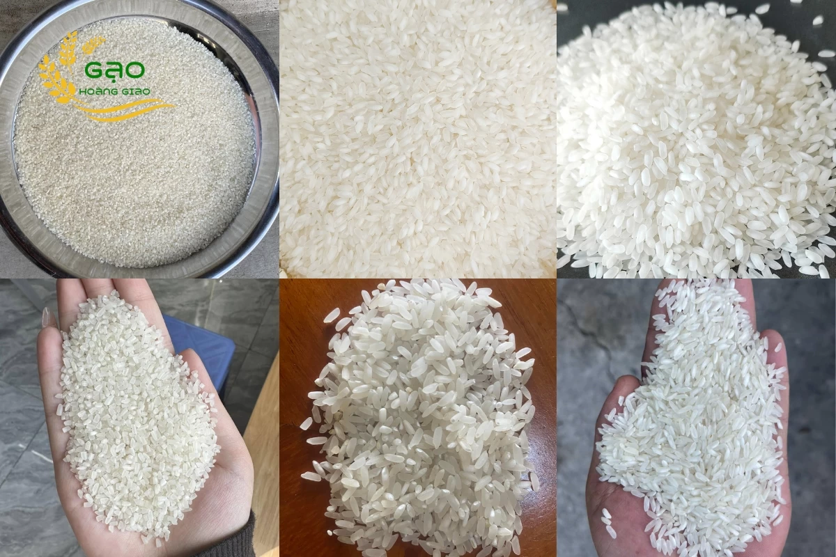 Chọn gạo làm bún đạt chuẩn là bước đầu tiên trong quy làm bún gạo khô