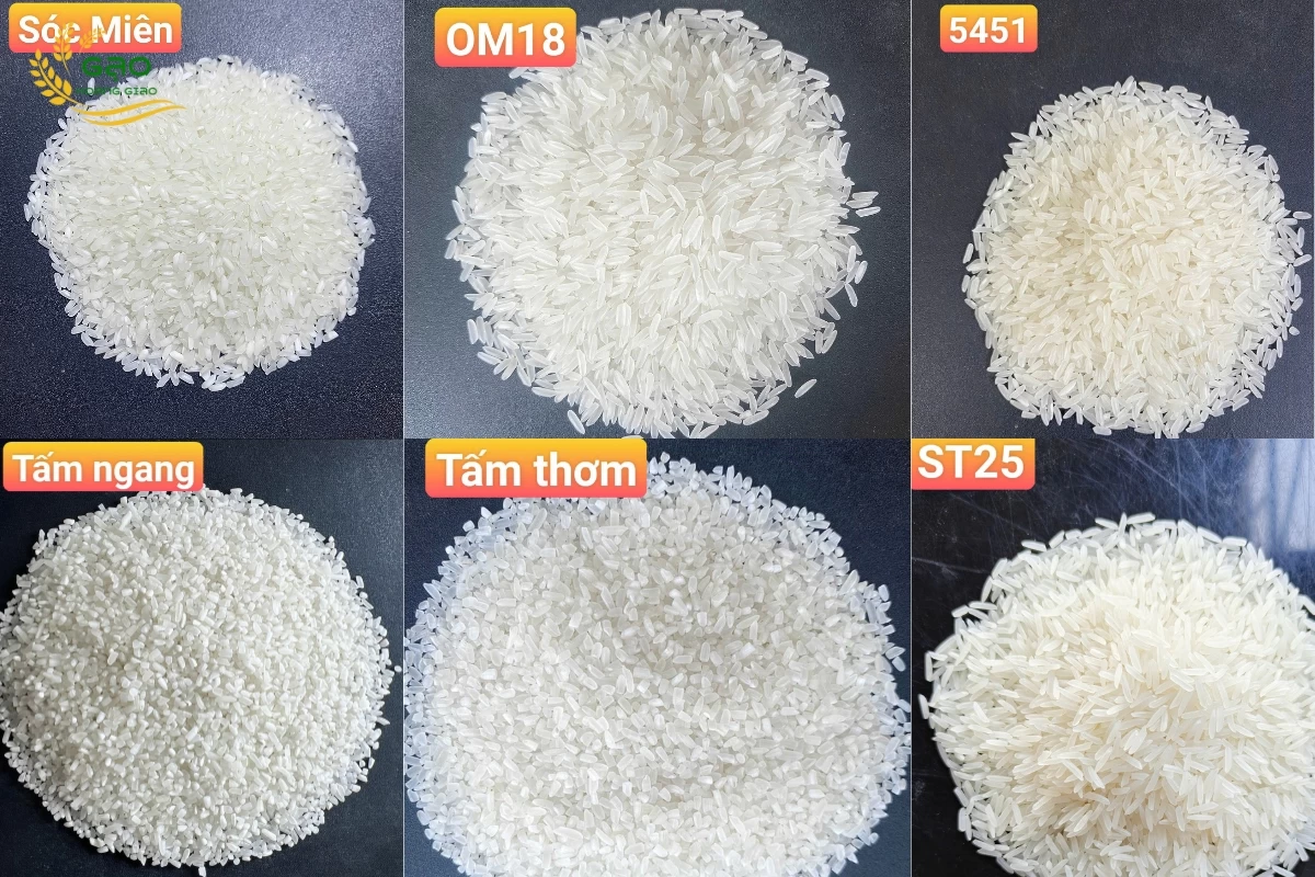 Một số mẫu gạo tại vựa gạo miền Tây - Gạo Hoàng Giao