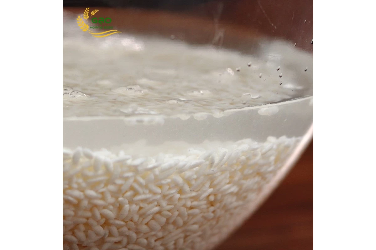 Ngâm gạo nếp