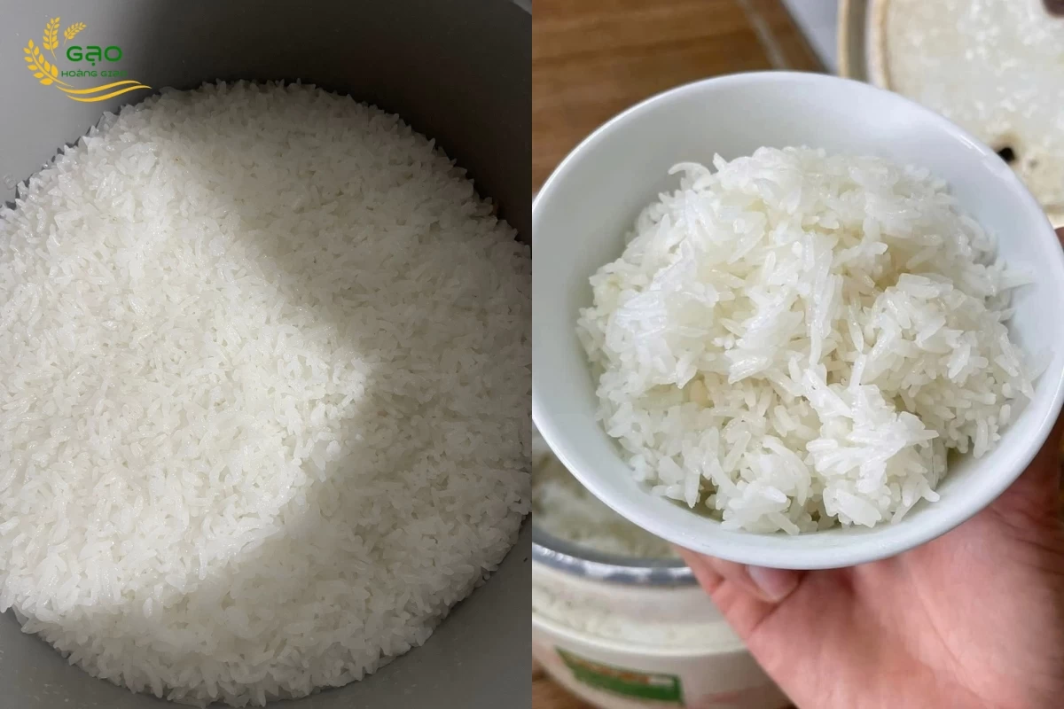 Cơm được nấu từ gạo DT8