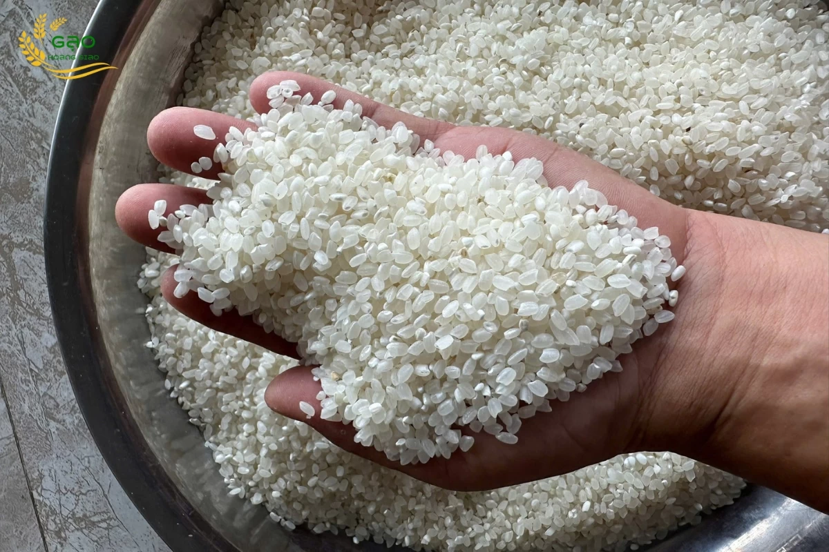 Mẫu gạo nguyên liệu Japonica