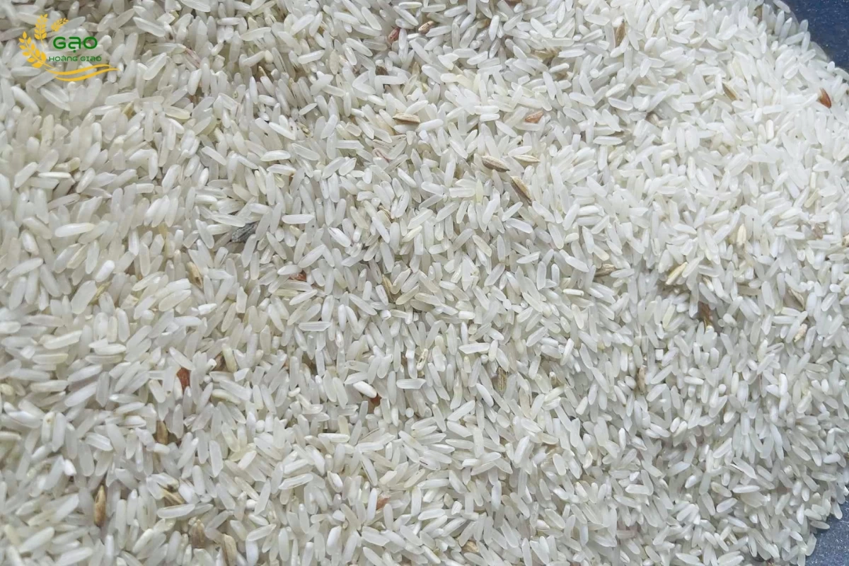 Mẫu gạo phế rượu