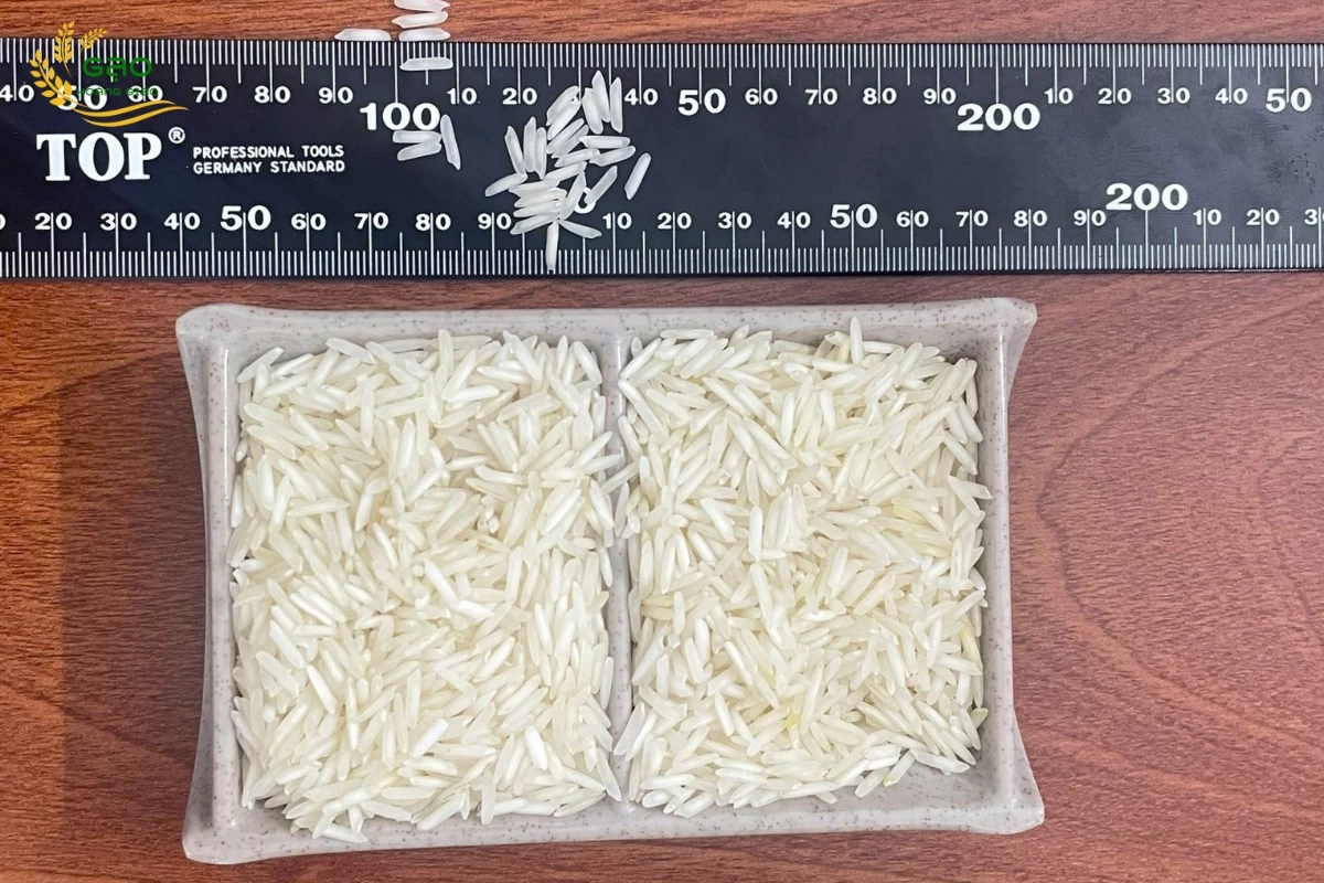Mẫu gạo Basmati hạt dài
