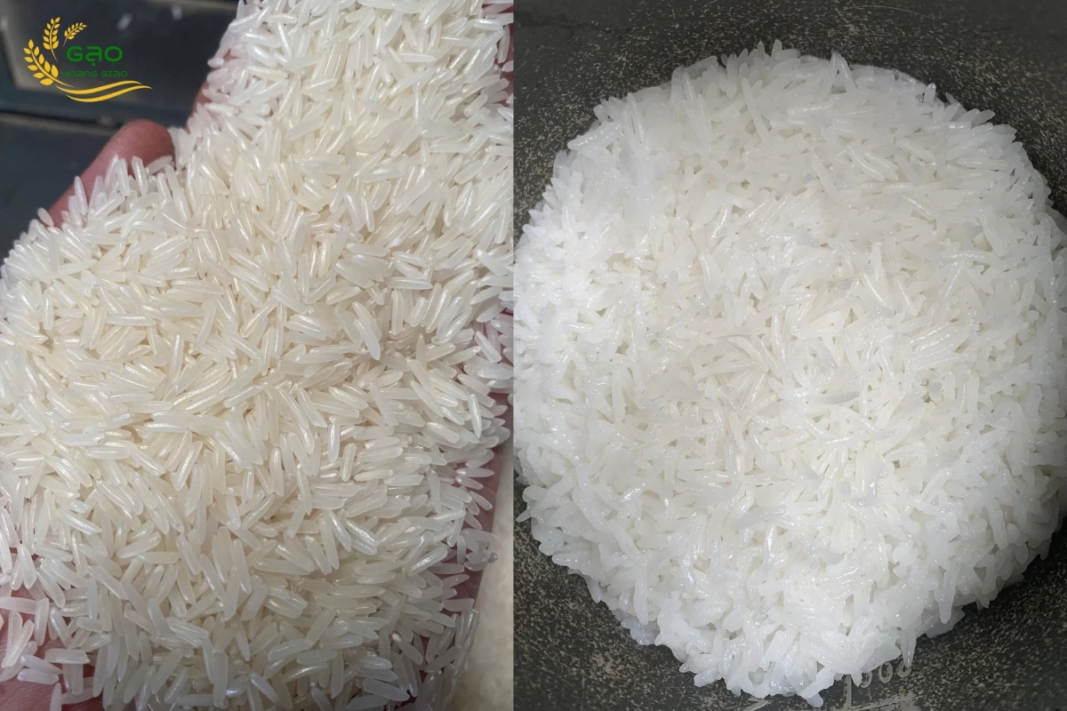 Gạo dẻo ST25 và cơm được nấu từ gạo ST25