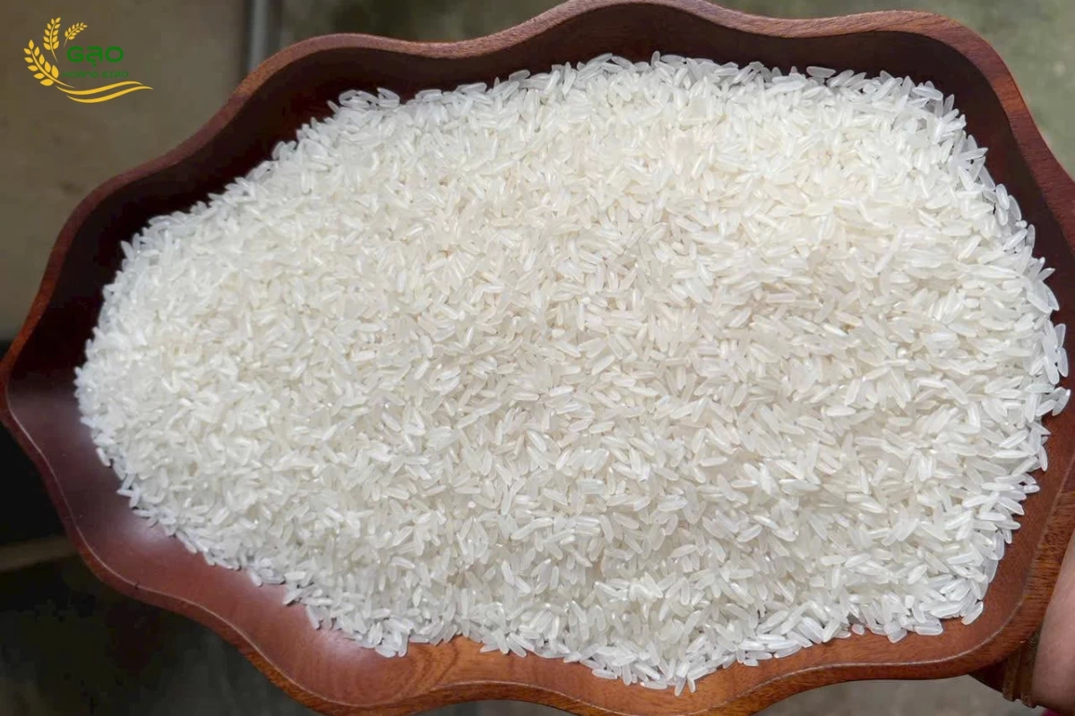 Mẫu gạo Đài Thơm 8 trắng đẹp