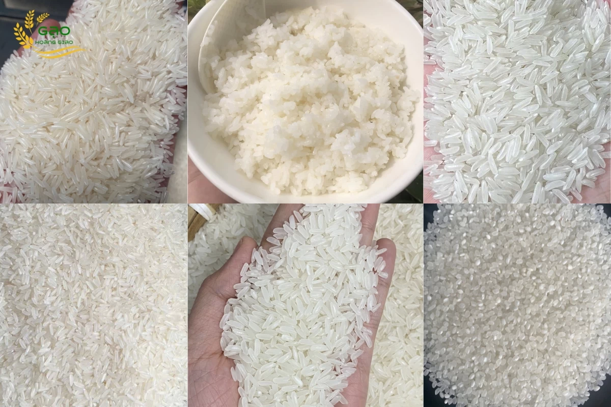 Các loại gạo dẻo