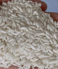 Hạt nếp lá An Giang nhỏ, dài và có màu trắng sữa