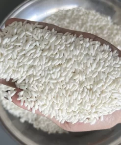 Mẫu gạo nếp lá An Giang tại nhà máy Gạo Hoàng Giao