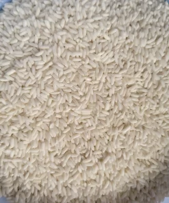 Mẫu nếp lá An Giang