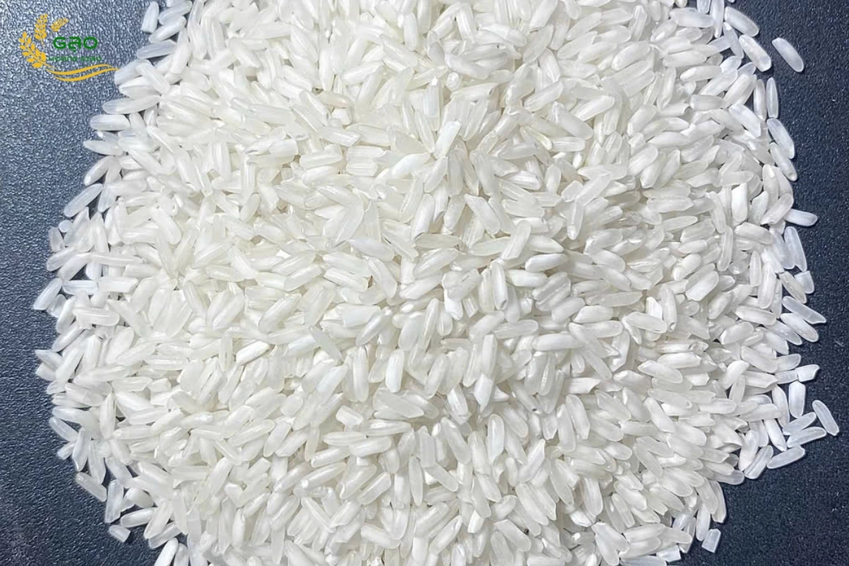 Gạo 504 - gạo làm cơm chiên ngon