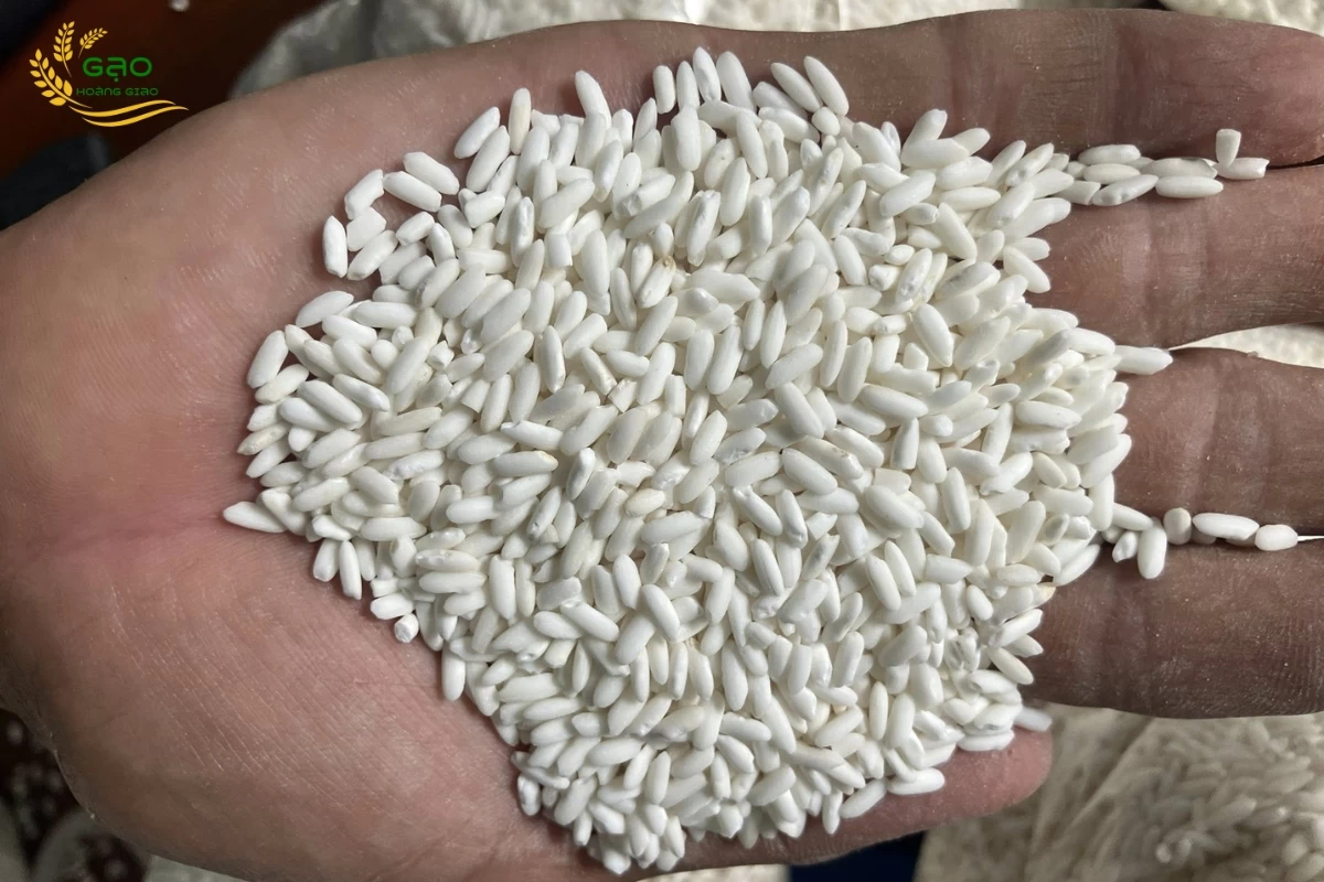Các loại gạo nếp đều có chứa hàm lượng chất dính amylopectin rất cao