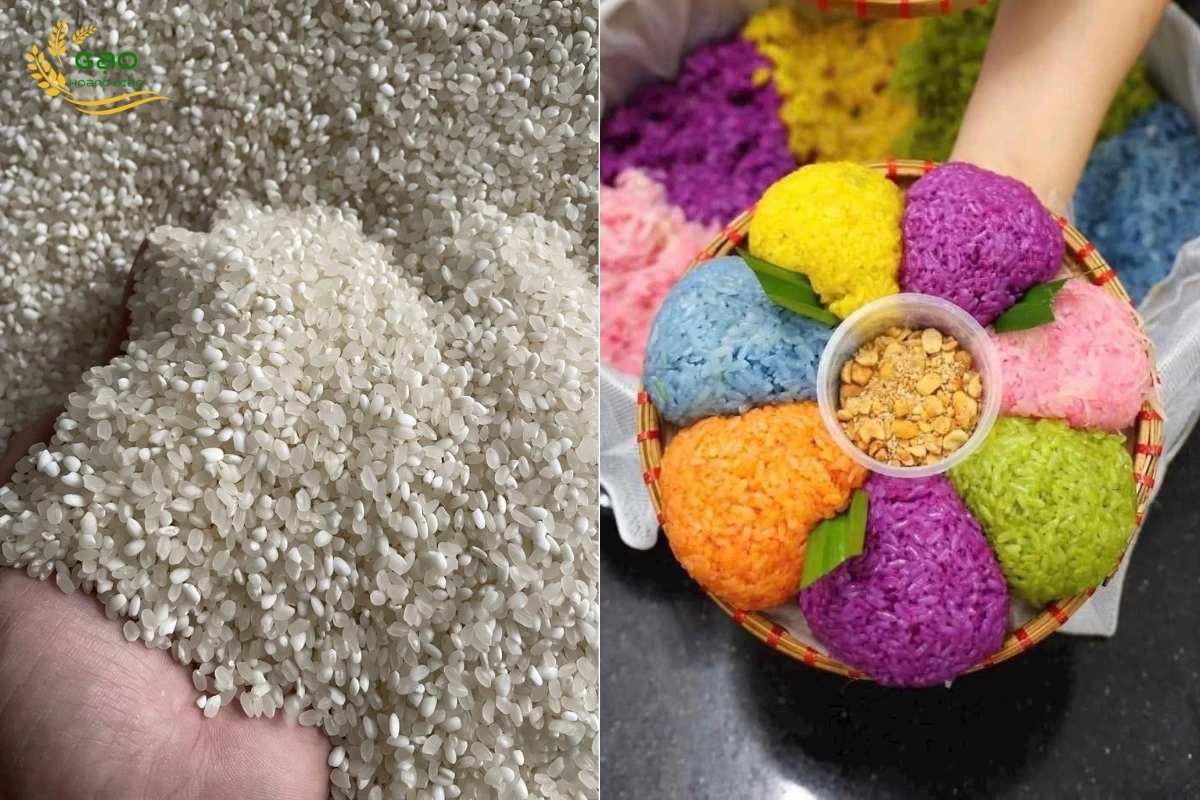 Xôi ngũ sắc được nấu từ gạo nếp Tú Lệ - là một trong các loại gạo ngon miền Bắc