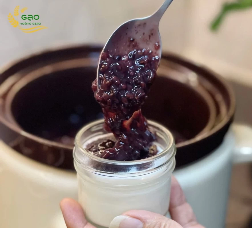 Cách làm sữa chua nếp cẩm
