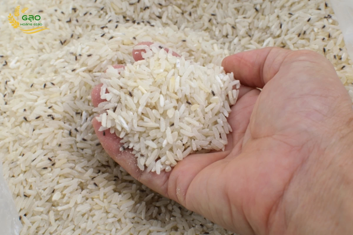 Gạo bị mọt sẽ xuất hiện lớp vụn bột trắng mịn