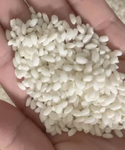 Hạt gạo nếp cái hoa vàng có hạt hơi tròn, màu trắng đục